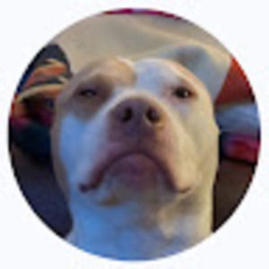 Meet your Posher, Spencer